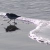 Point Reyes 04